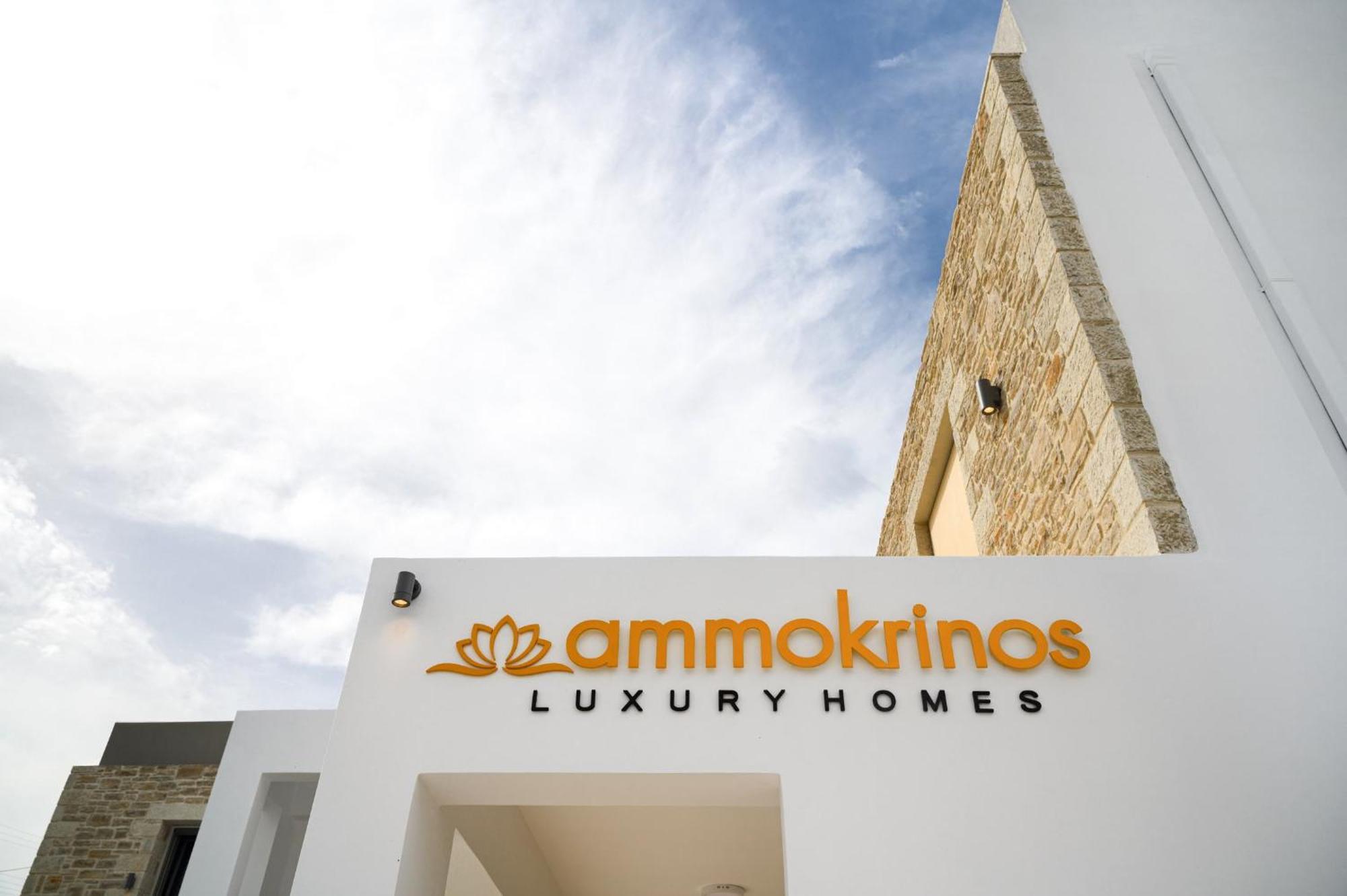 Ammokrinos Luxury Homes,150M From The Beach Kalamaki  Dış mekan fotoğraf